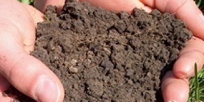 Testing Your Soil