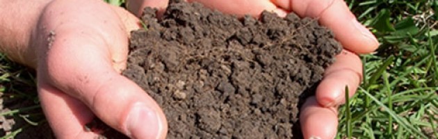 Testing Your Soil