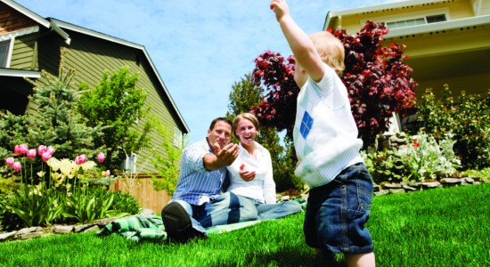 Residential Lawn Care And Landscaping